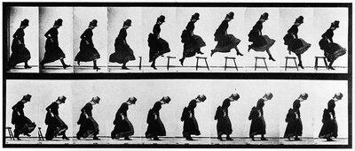  An Electro-photographic Investigation of Consecutive Phases of Animal Movements, a series of scientific photographs by Eadweard Muybridge made in 1884 and 1885 at the University of Pennsylvania, to study motion in animals (including h